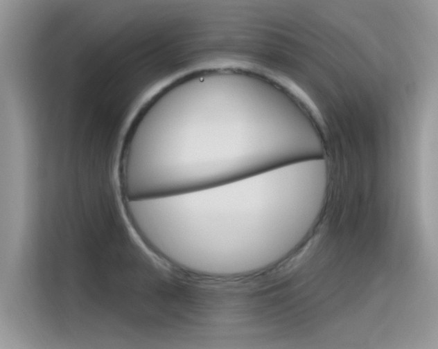 X0000115610943200911100929