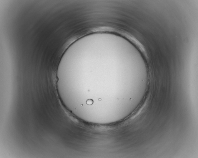 X0000115610945200911100929