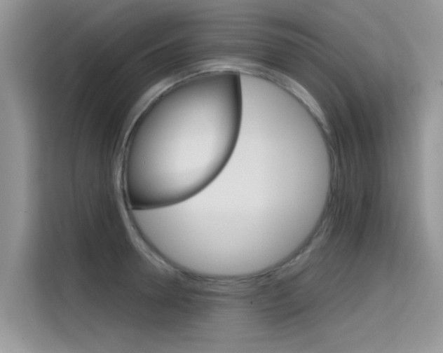 X0000115610946200911100929