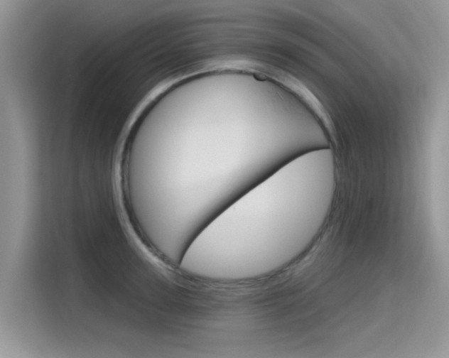 X0000115610947200911100929