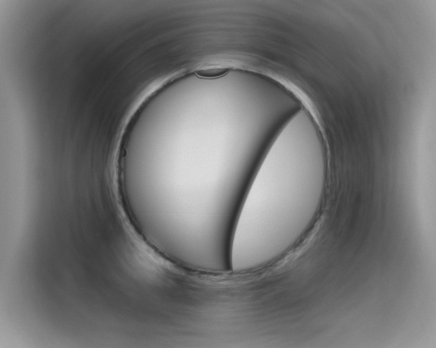 X0000115610949200911100929