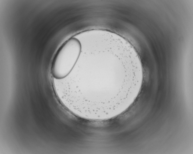 X0000115610950200911100929