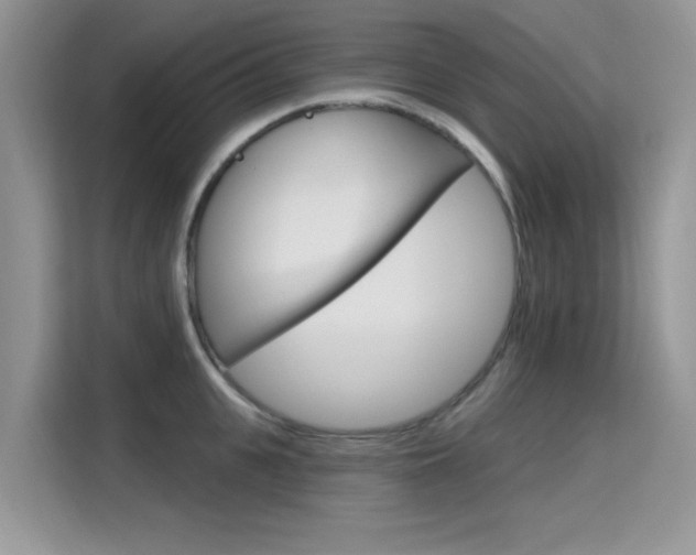 X0000115610951200911100929