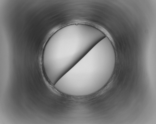 X0000115610954200911100929