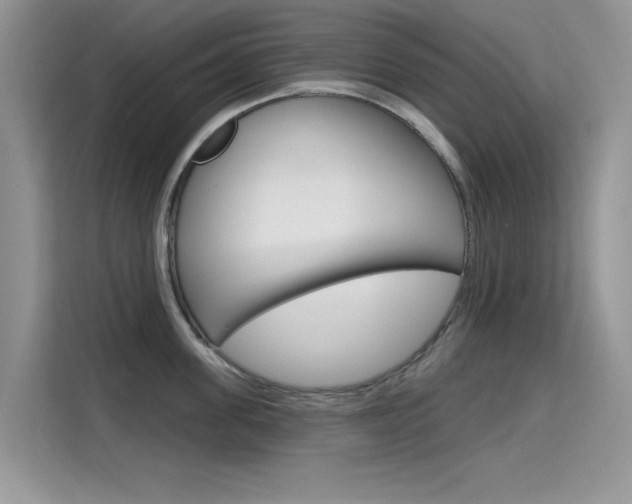 X0000115610955200911100929