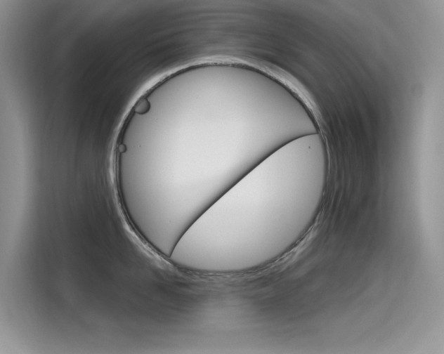 X0000115610958200911100929