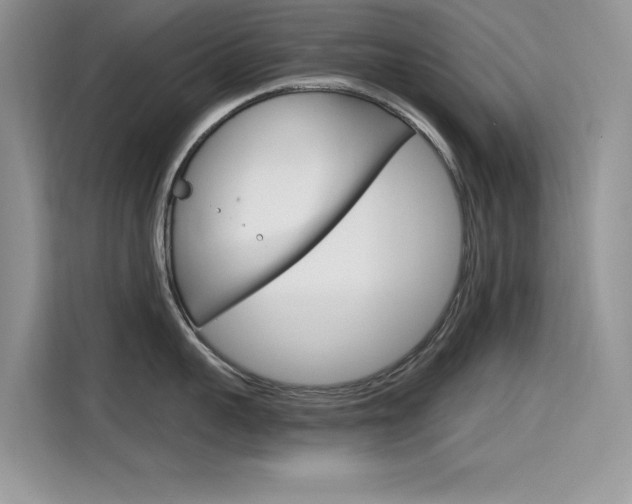 X0000115610959200911100929