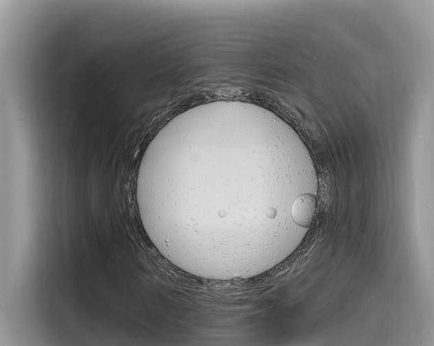 X0000115610962200911100928