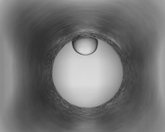 X0000115610965200911100928
