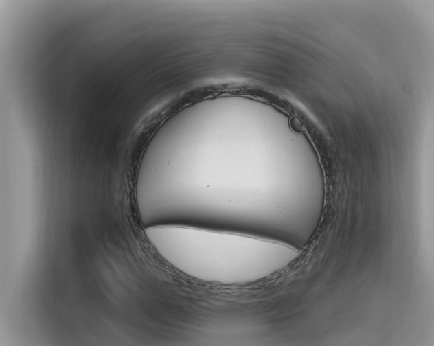 X0000115610967200911100928