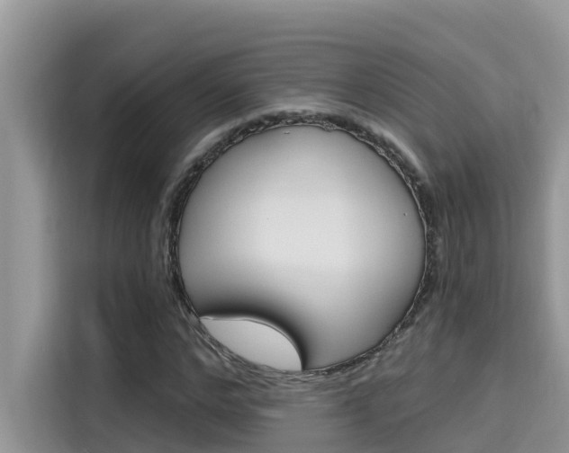 X0000115610968200911100928