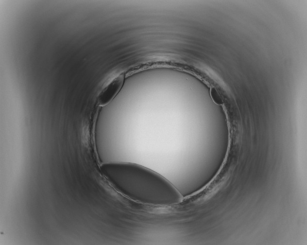 X0000115610969200911100928