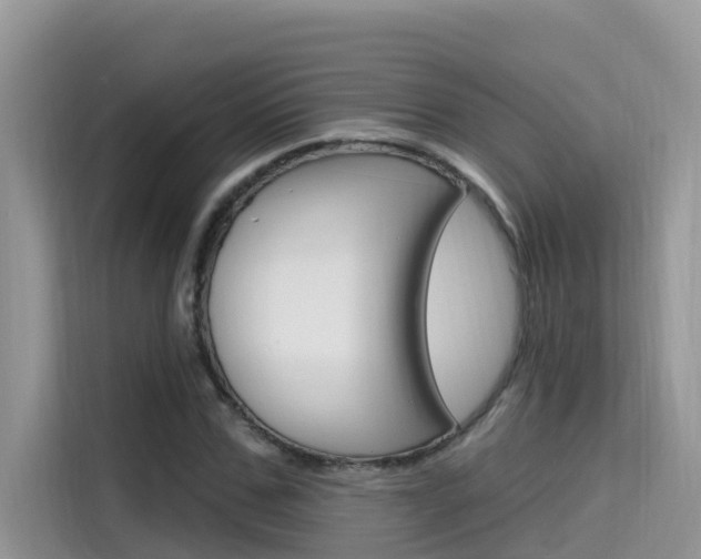 X0000115610971200911100928
