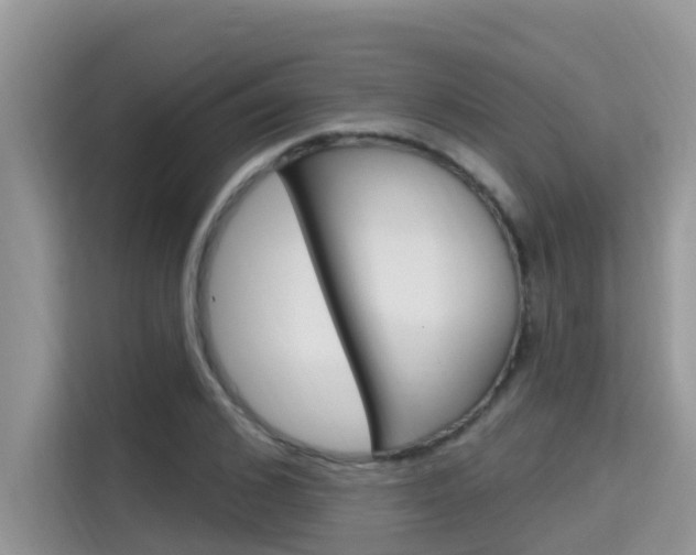 X0000115610976200911100928