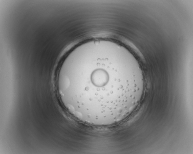 X0000115610978200911100928
