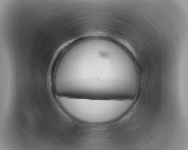 X0000115610979200911100928