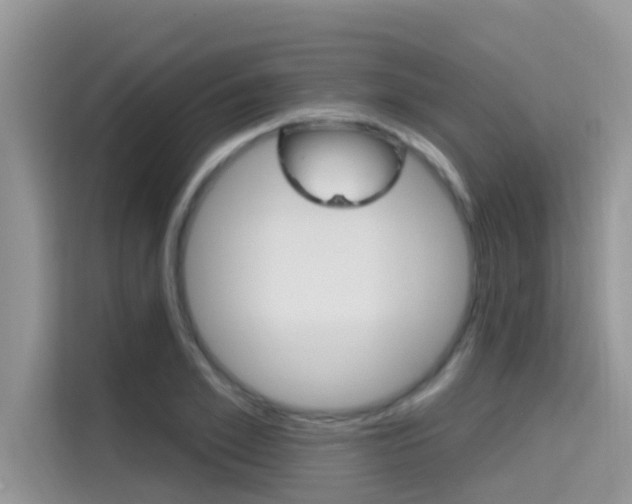 X0000115610981200911100928