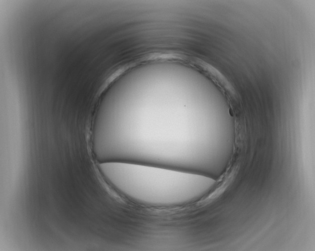 X0000115610985200911100928