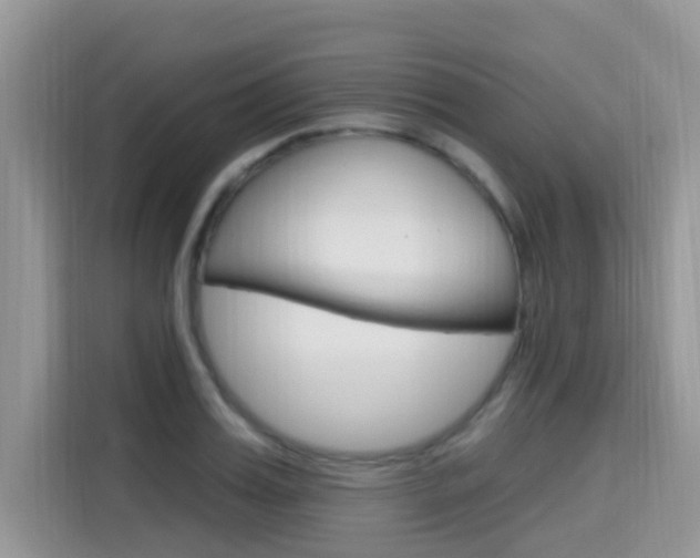 X0000115610987200911100928