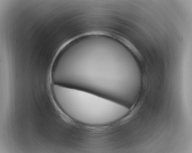 X0000115610988200911100928
