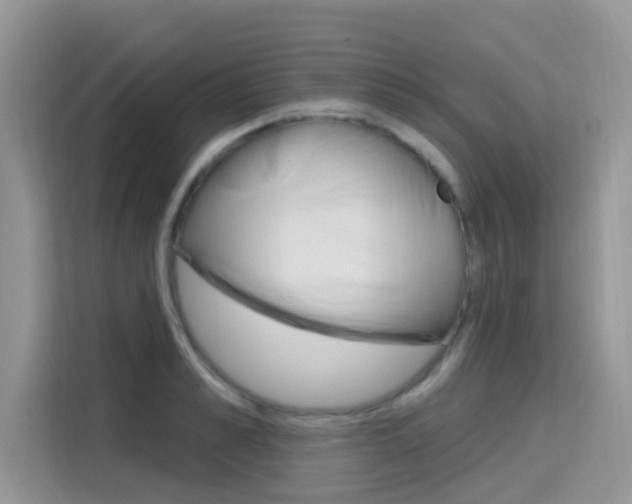 X0000115610989200911100928