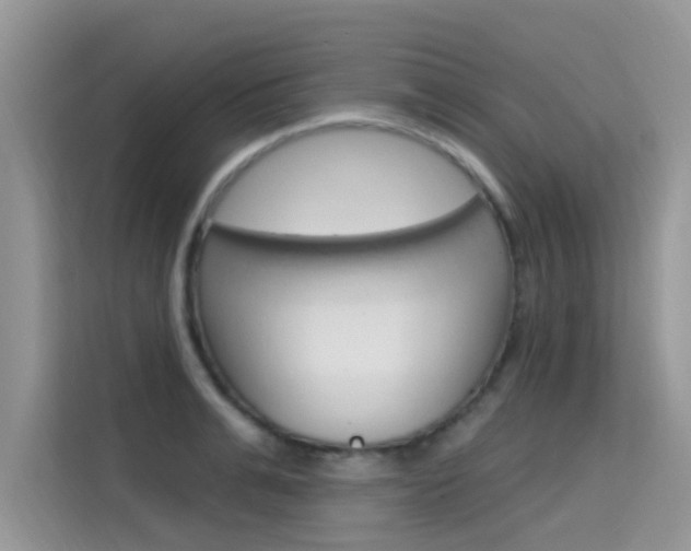 X0000115610991200911100928