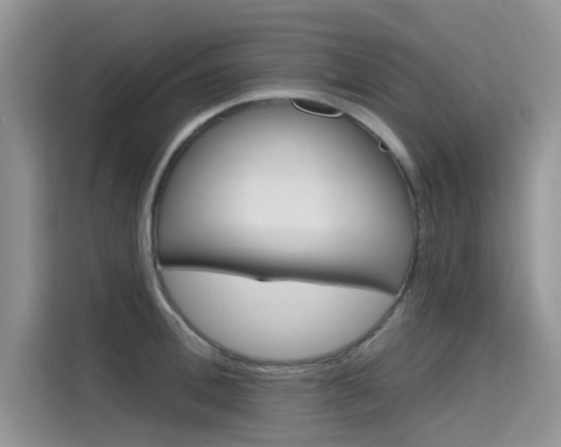 X0000115610996200911100928