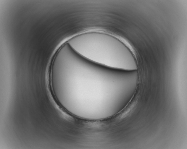 X0000115610999200911100928