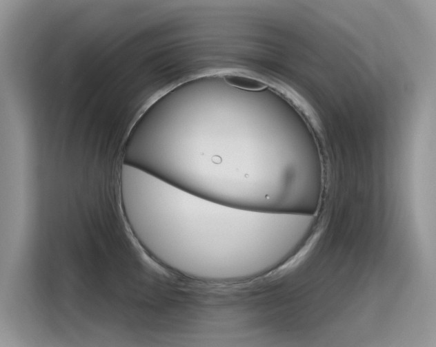 X0000115611001200911100928