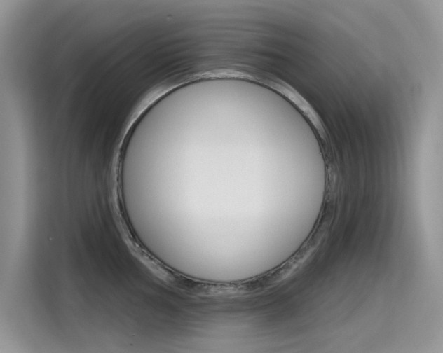 X0000115611002200911100928