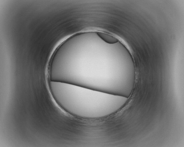 X0000115611003200911100928