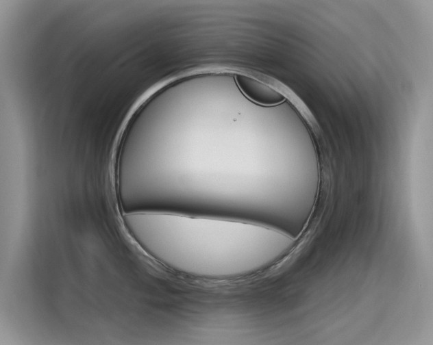 X0000115611004200911100928