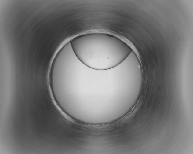 X0000115611005200911100928