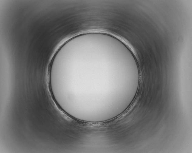 X0000115611006200911100928