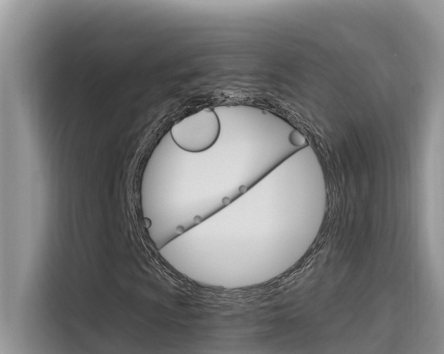 X0000115611009200911100927
