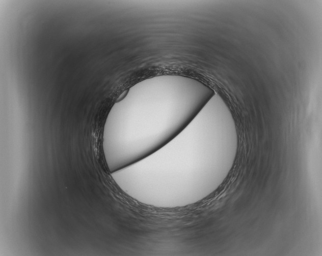 X0000115611010200911100927