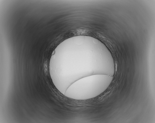 X0000115611011200911100927
