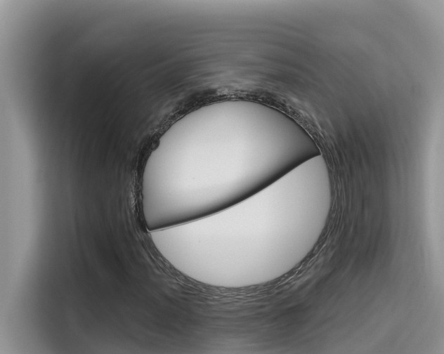 X0000115611012200911100927