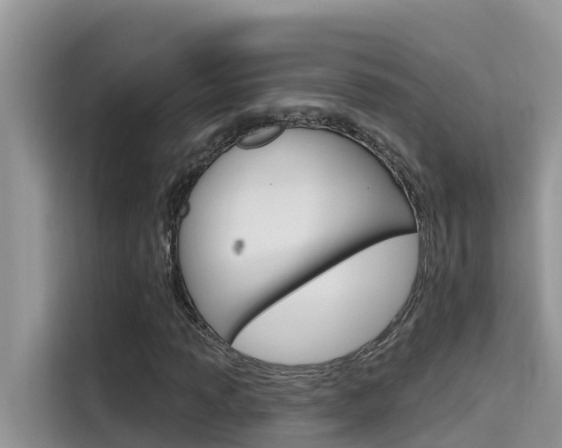 X0000115611013200911100927