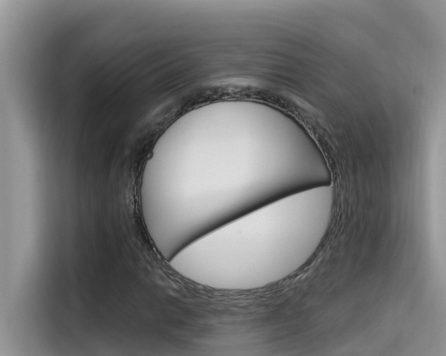 X0000115611014200911100927