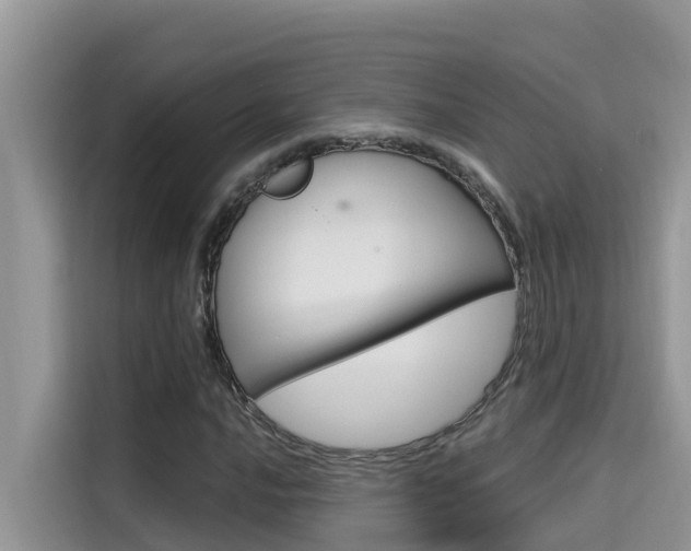 X0000115611016200911100927