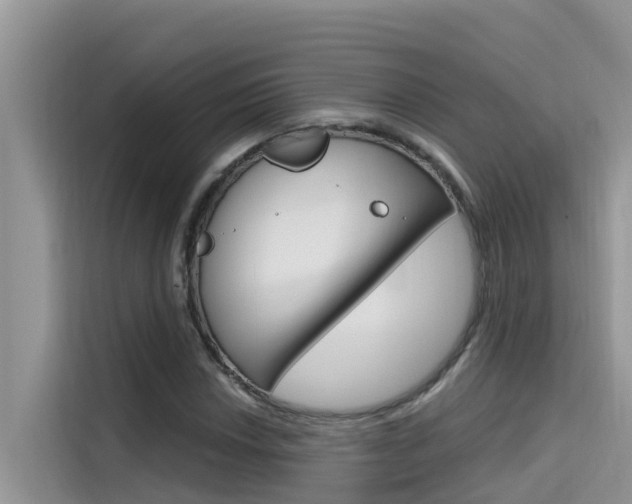 X0000115611018200911100927