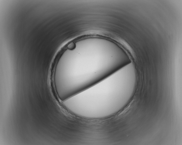 X0000115611020200911100927