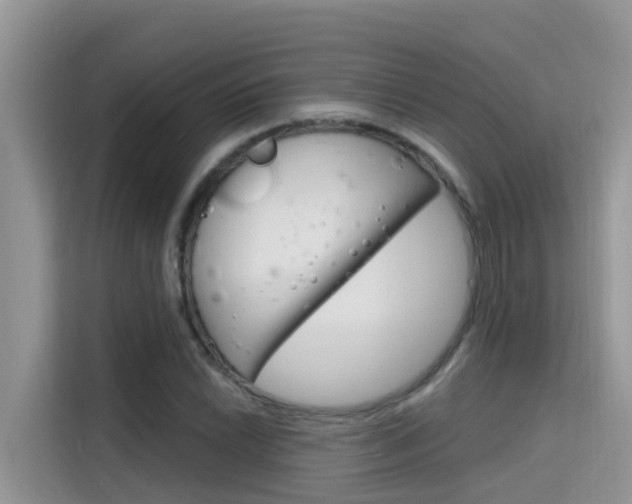 X0000115611022200911100927