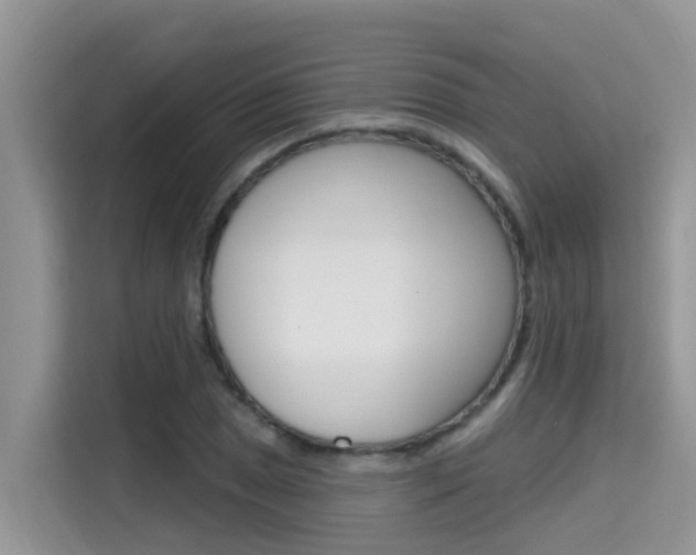 X0000115611025200911100927