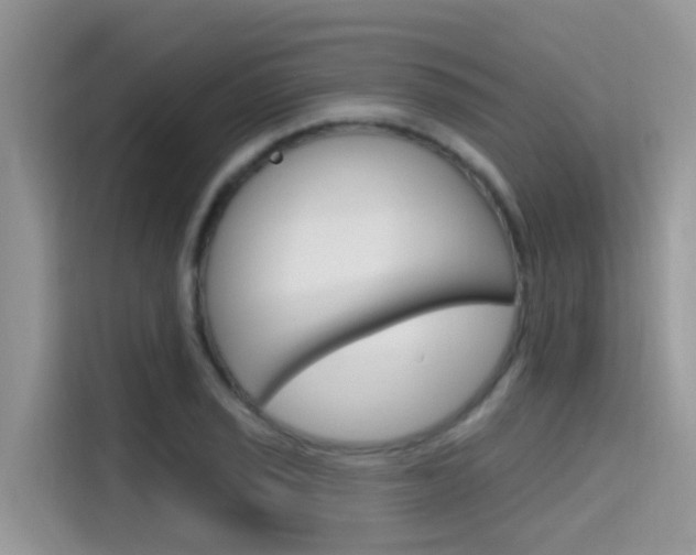 X0000115611029200911100927
