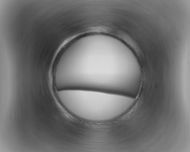 X0000115611032200911100927