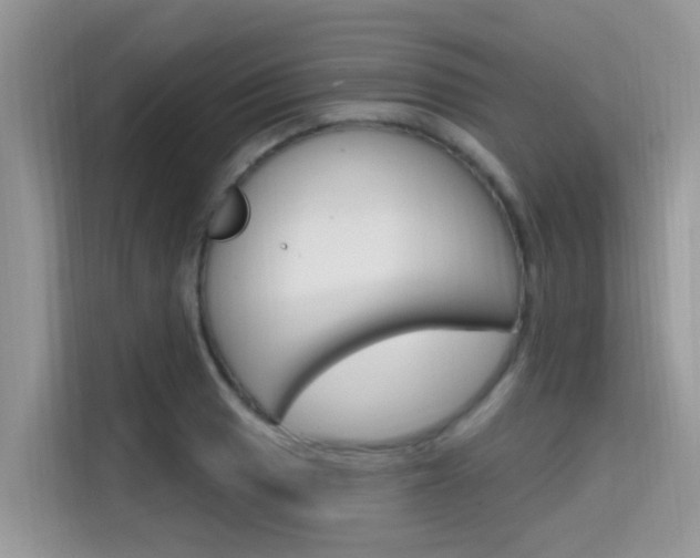 X0000115611033200911100927