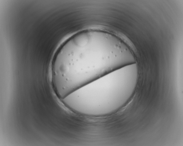 X0000115611036200911100927