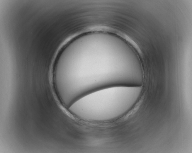 X0000115611037200911100927